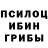 Галлюциногенные грибы мухоморы alprokurov04