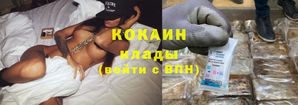 PSILOCYBIN Аркадак
