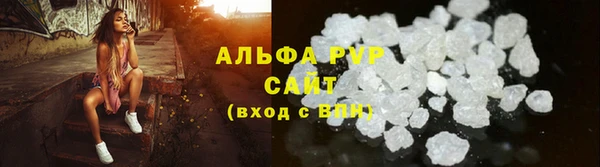 PSILOCYBIN Аркадак