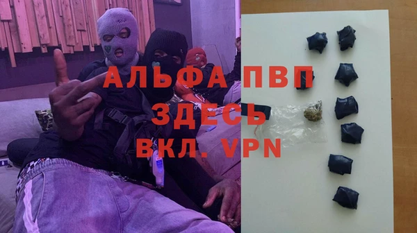 PSILOCYBIN Аркадак