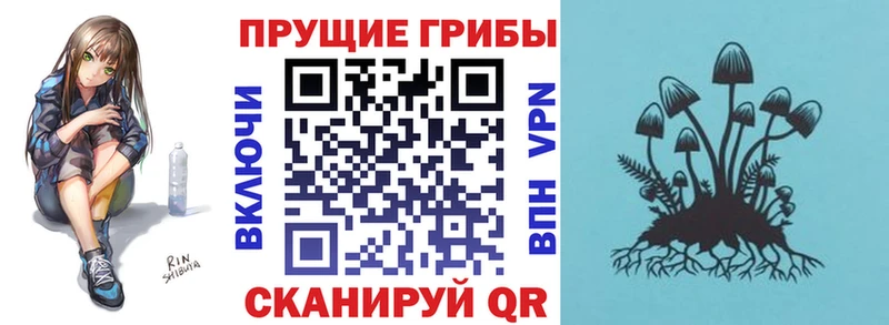 shop как зайти  Сухиничи  Галлюциногенные грибы GOLDEN TEACHER 